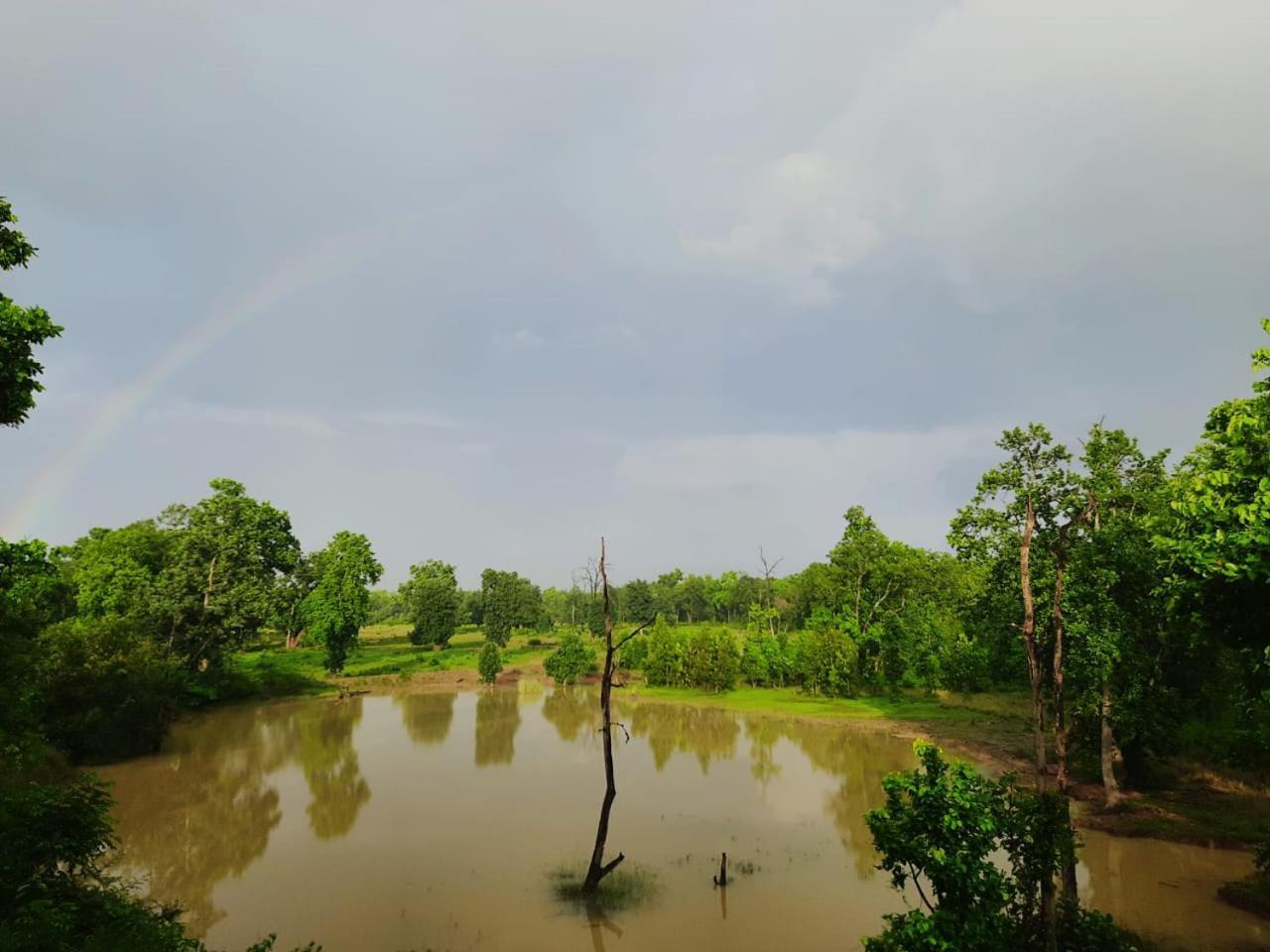 Emerald Tiger Retreat Tala  Экстерьер фото
